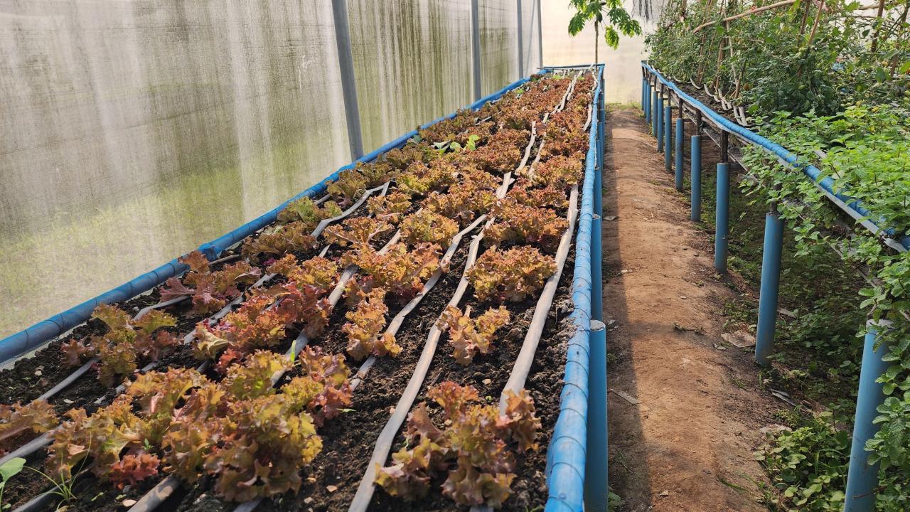 ภาพประกอบที่ 8