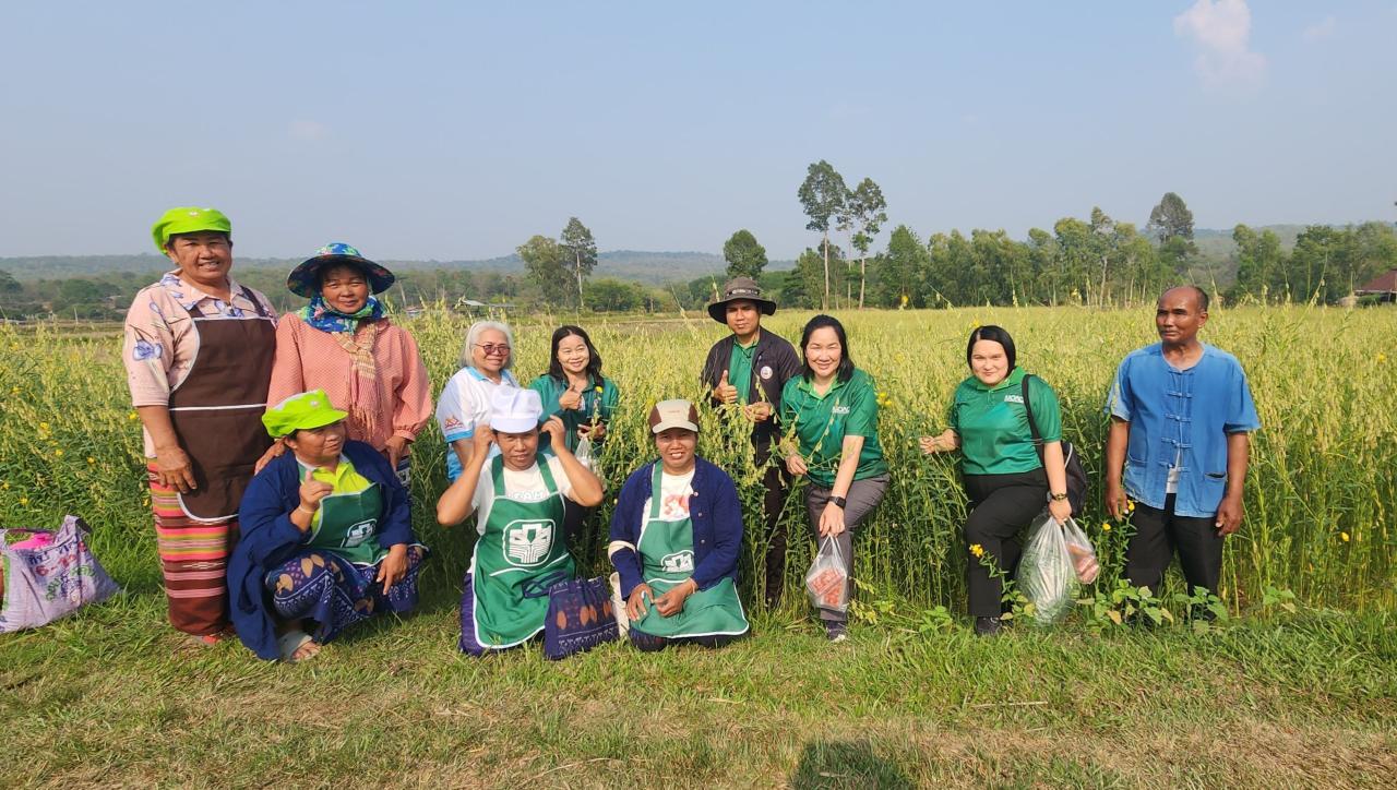 ภาพประกอบที่ 6