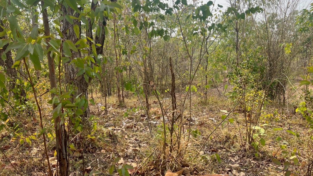 ภาพประกอบที่ 13