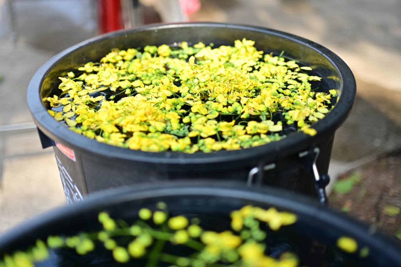 ภาพประกอบที่ 25