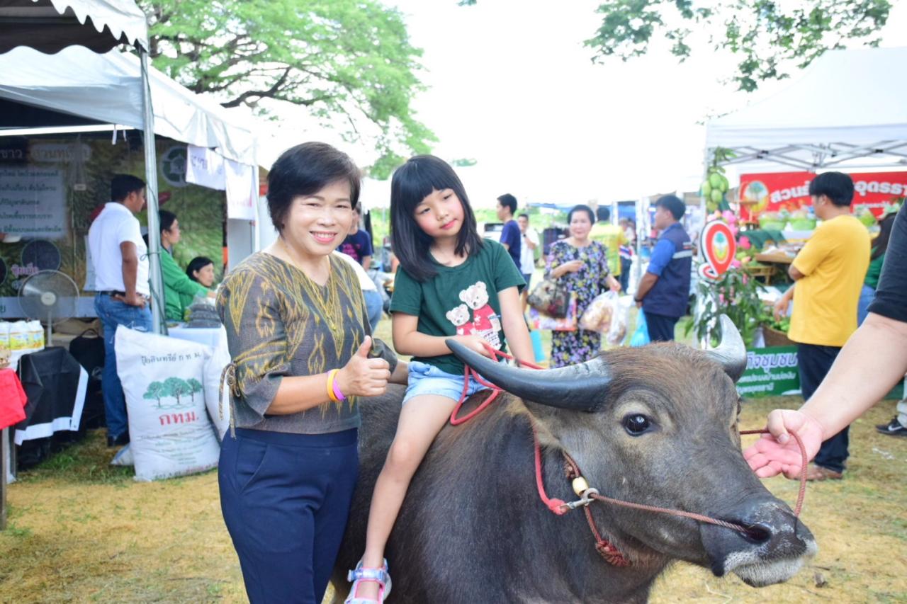 ภาพประกอบที่ 17