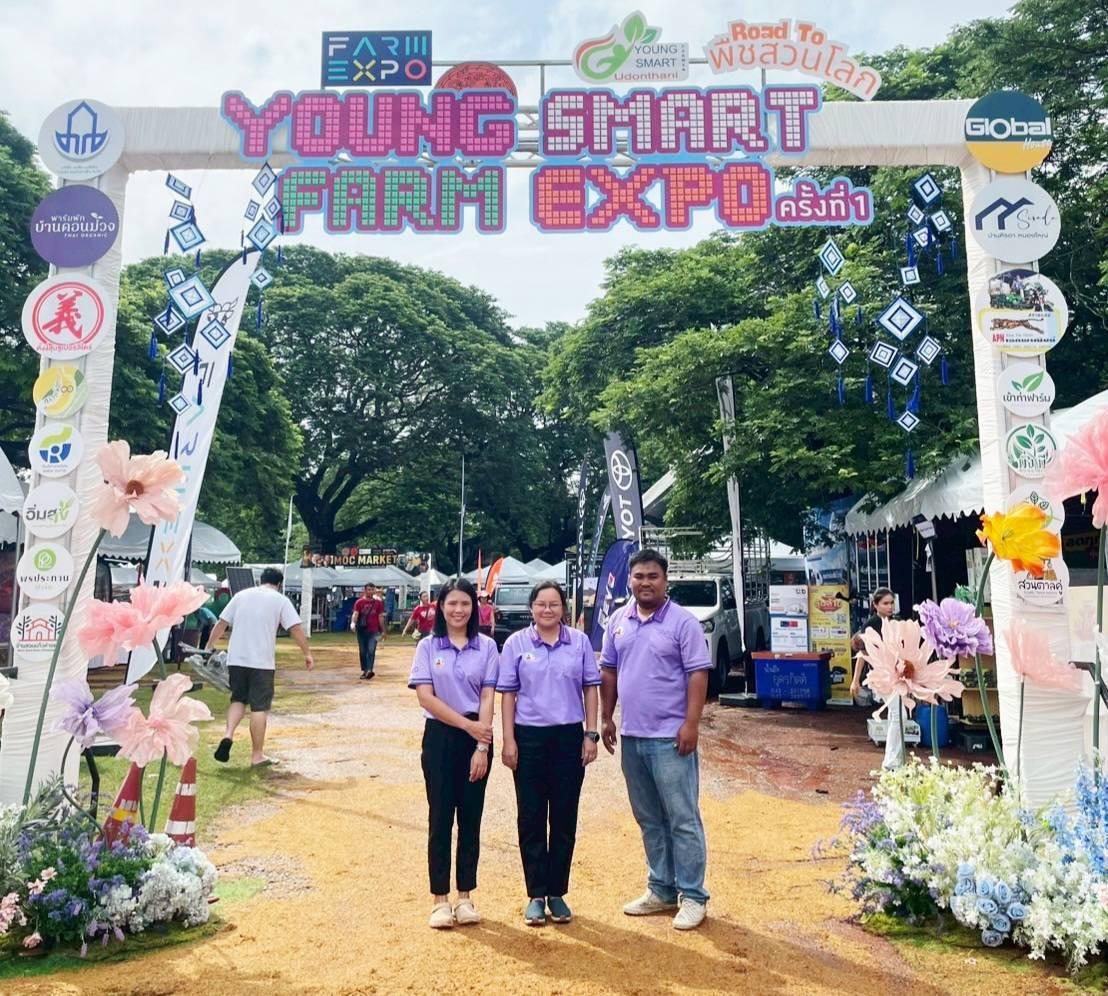 ภาพประกอบที่ 15