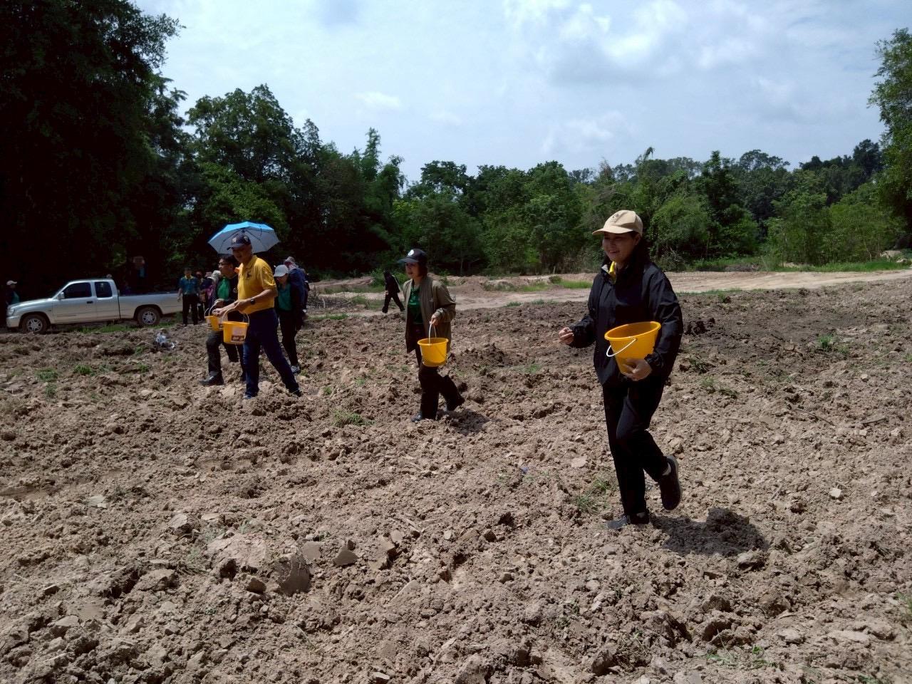 ภาพประกอบที่ 5