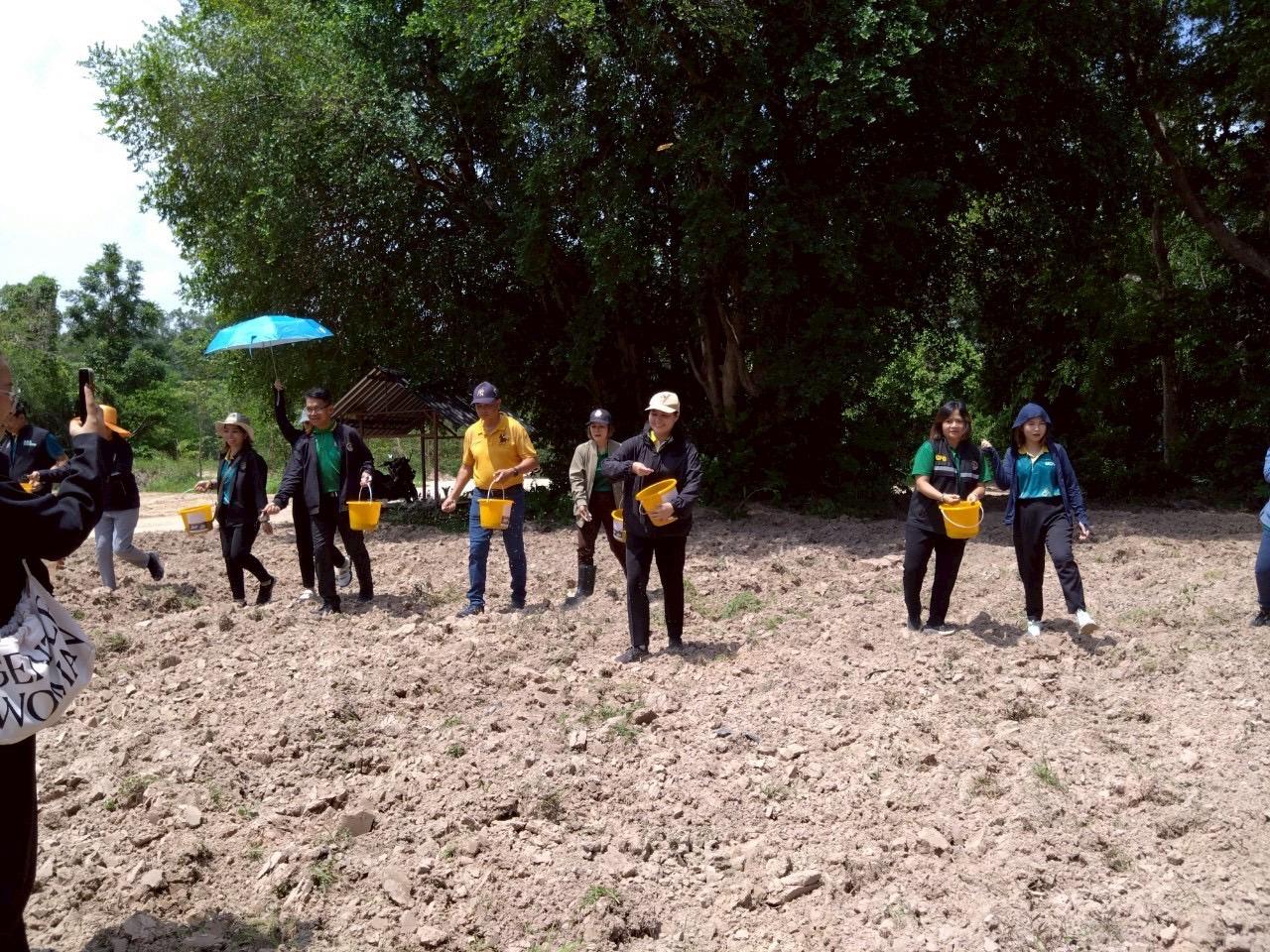 ภาพประกอบที่ 4