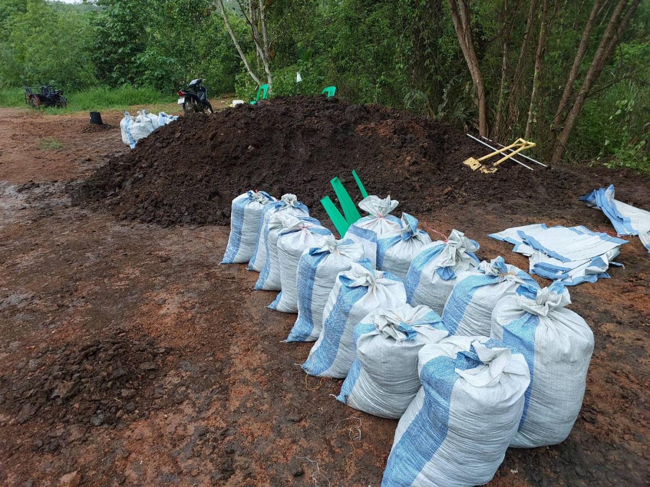 ภาพประกอบที่ 12