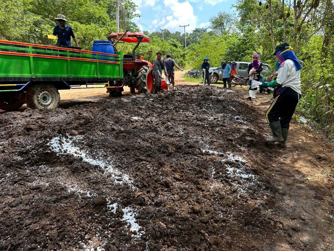 ภาพประกอบที่ 11
