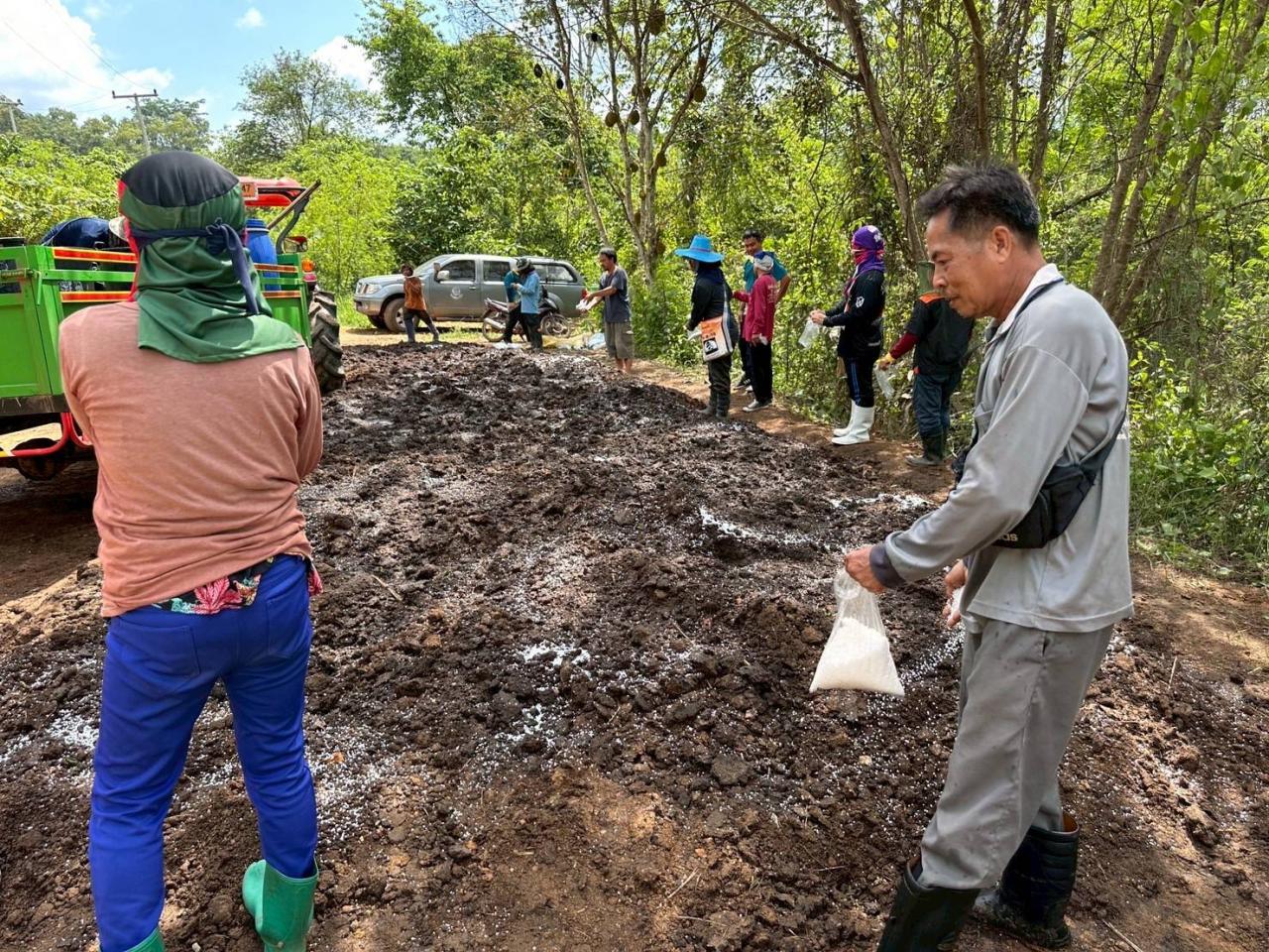 ภาพประกอบที่ 10