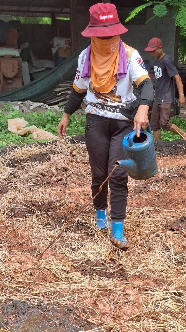 ภาพประกอบที่ 5