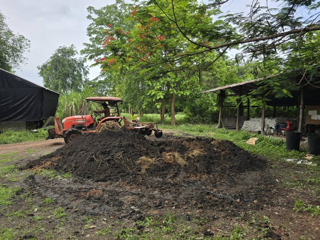 ภาพประกอบที่ 8