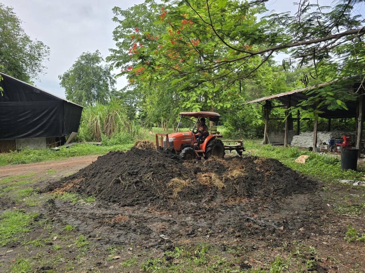 ภาพประกอบที่ 9
