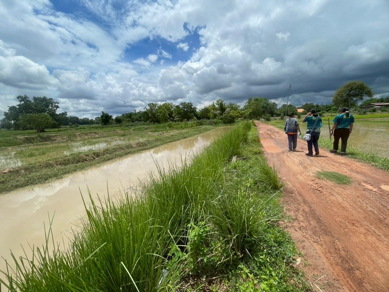 ภาพประกอบที่ 25