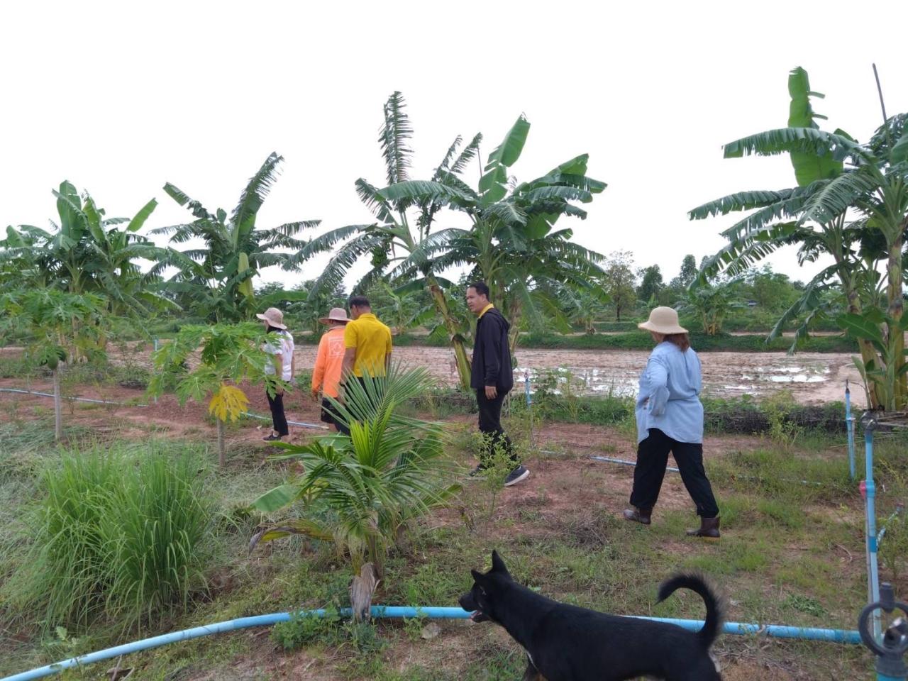 ภาพประกอบที่ 1