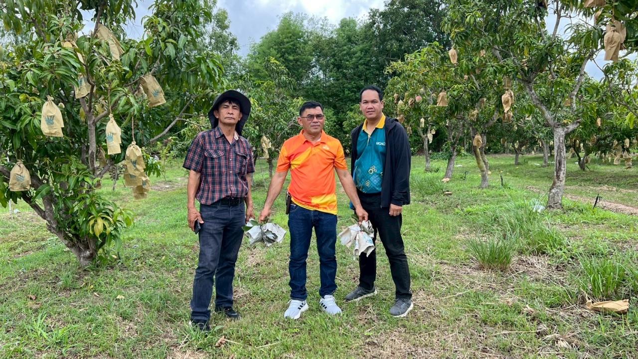 ภาพประกอบที่ 2