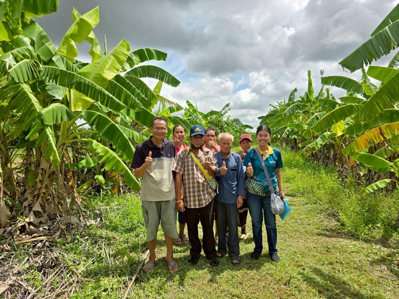 ภาพประกอบที่ 5