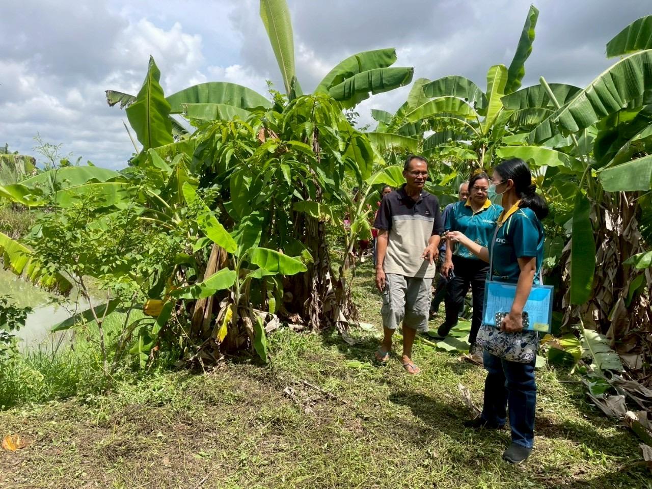 ภาพประกอบที่ 6