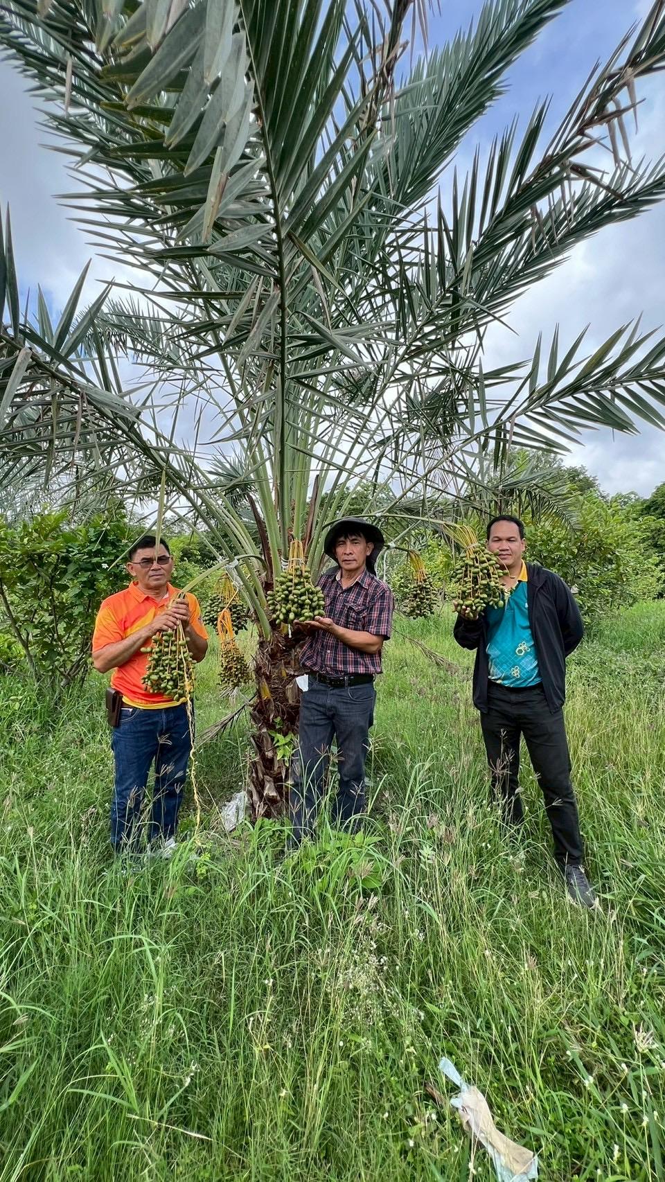 ภาพประกอบที่ 8