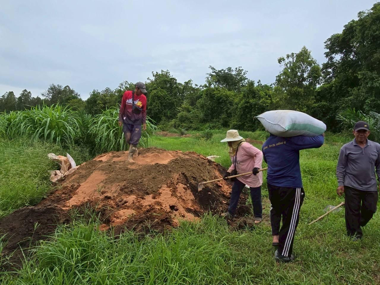 ภาพประกอบที่ 7