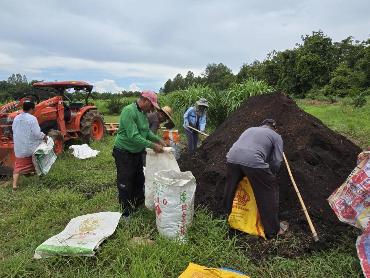 ภาพประกอบที่ 0