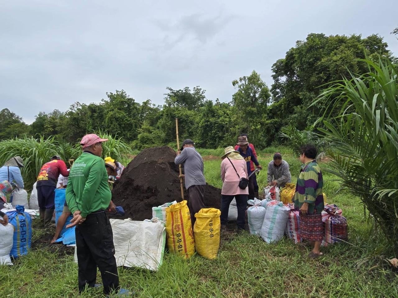 ภาพประกอบที่ 1