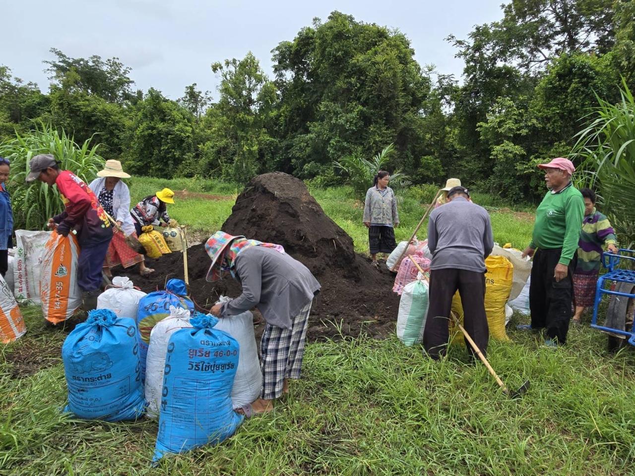 ภาพประกอบที่ 2