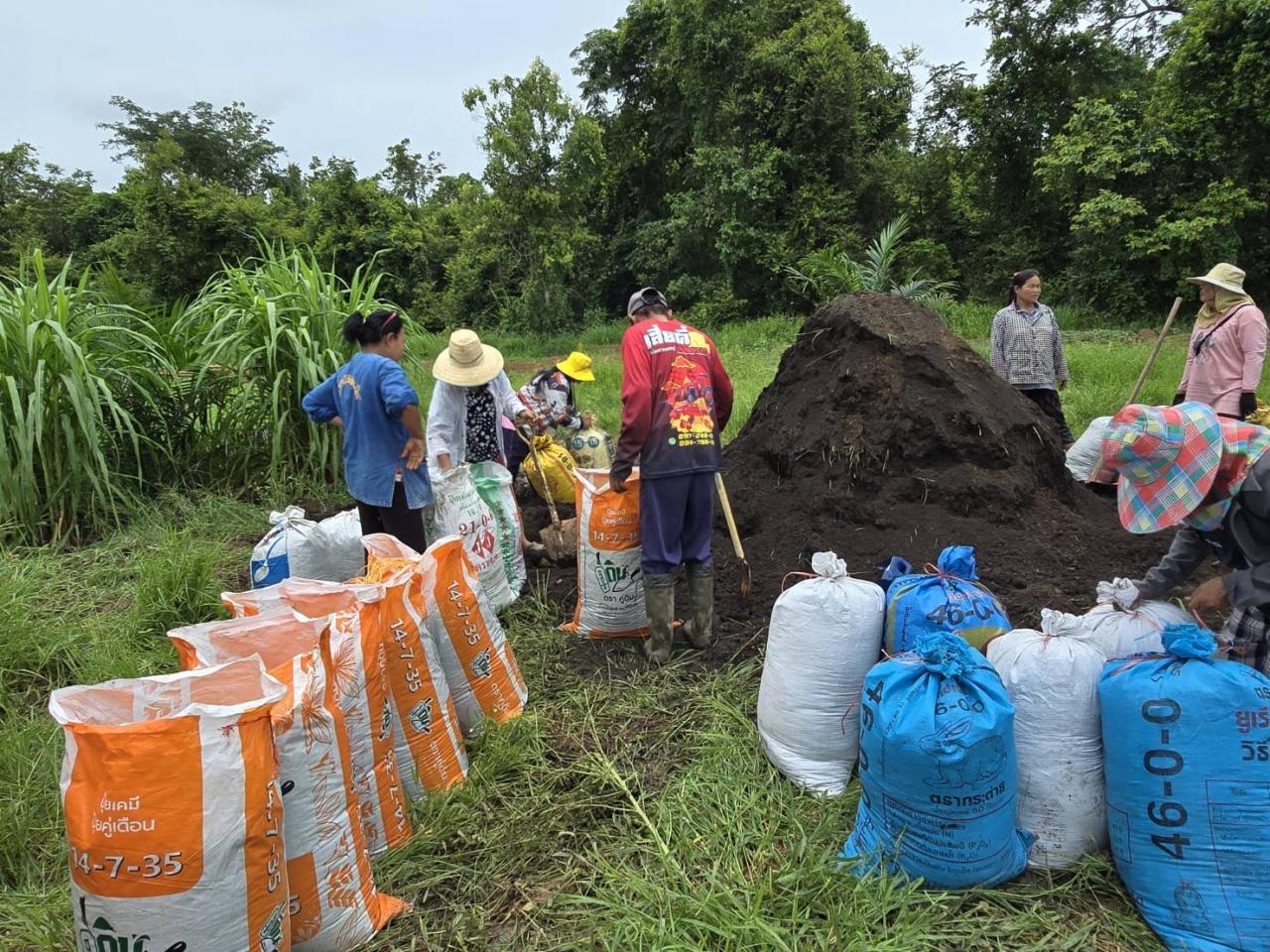ภาพประกอบที่ 4
