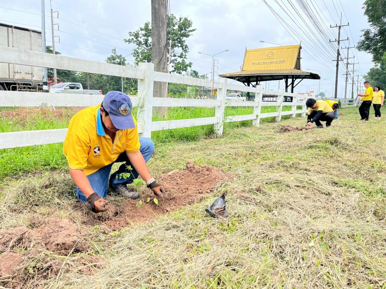 ภาพประกอบที่ 10