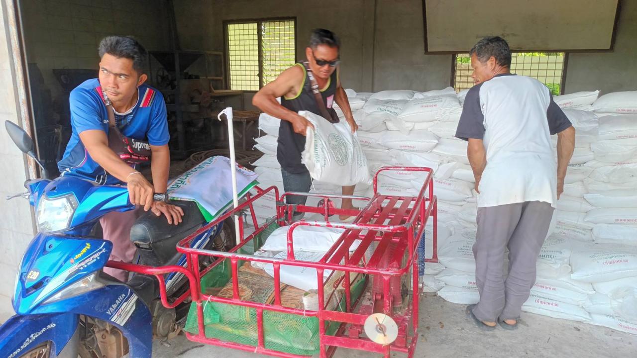 ภาพประกอบที่ 13