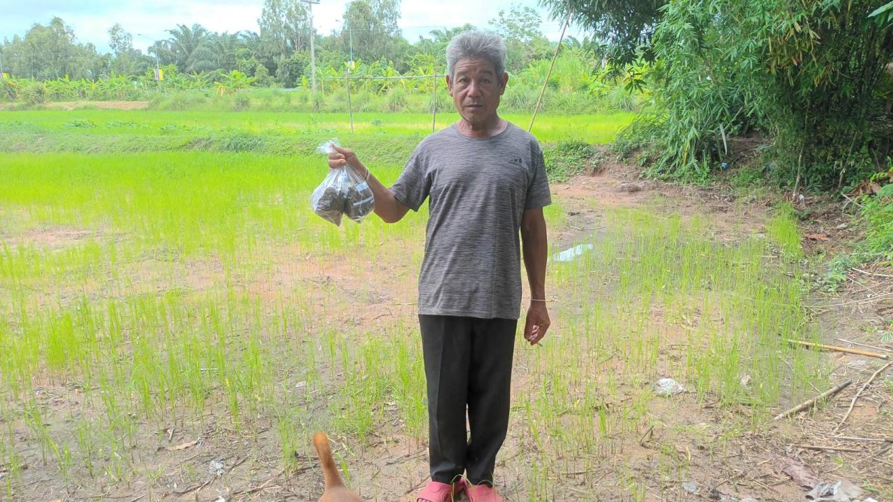 ภาพประกอบที่ 5