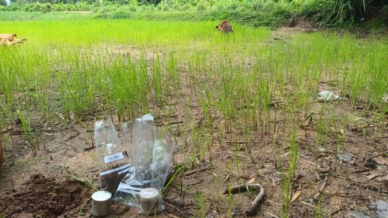 ภาพประกอบที่ 7