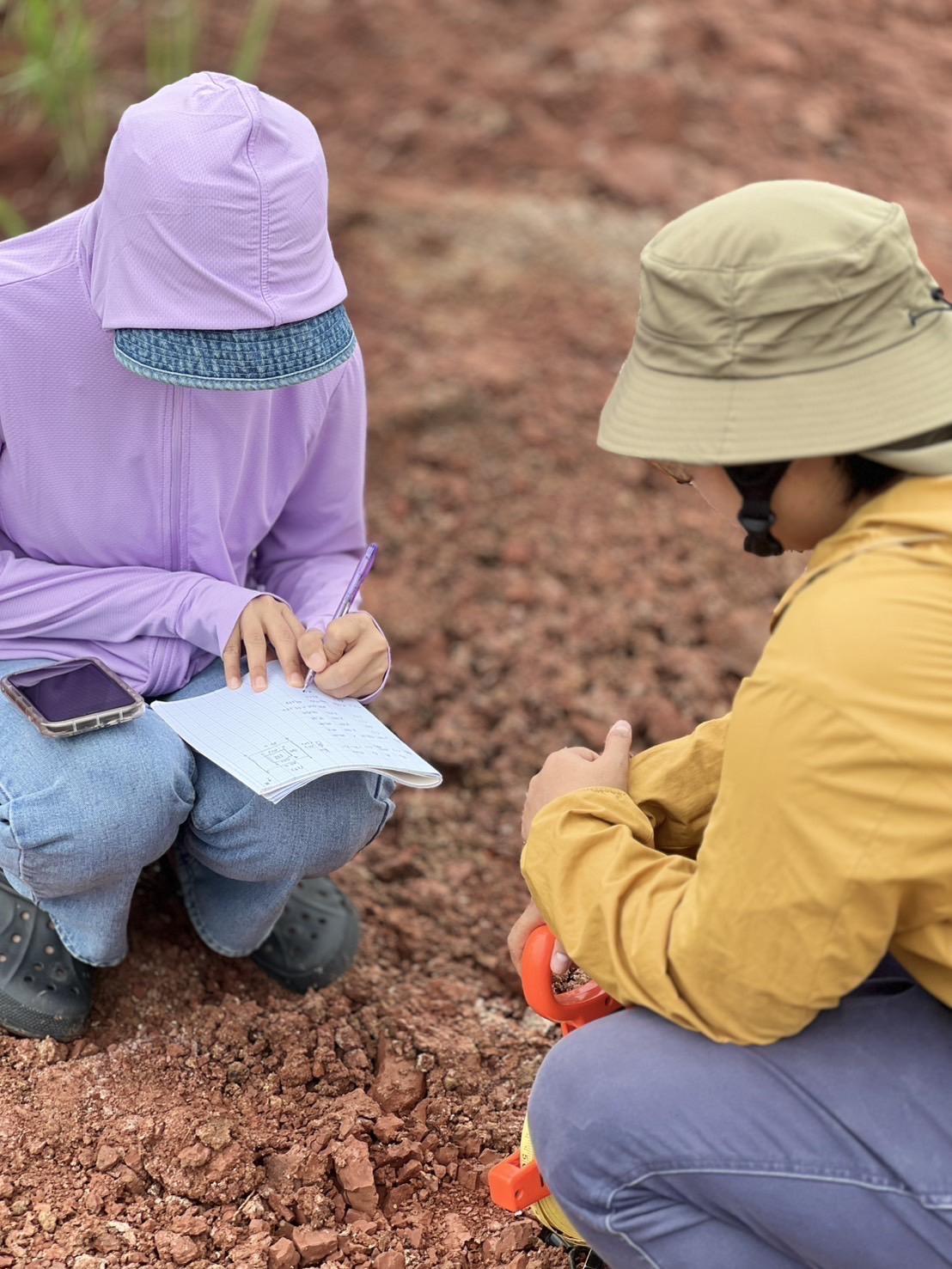 ภาพประกอบที่ 24