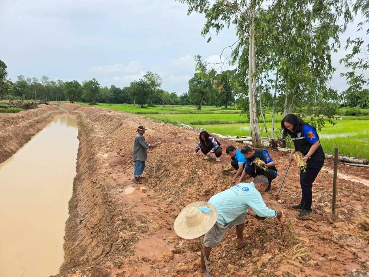 ภาพประกอบที่ 5