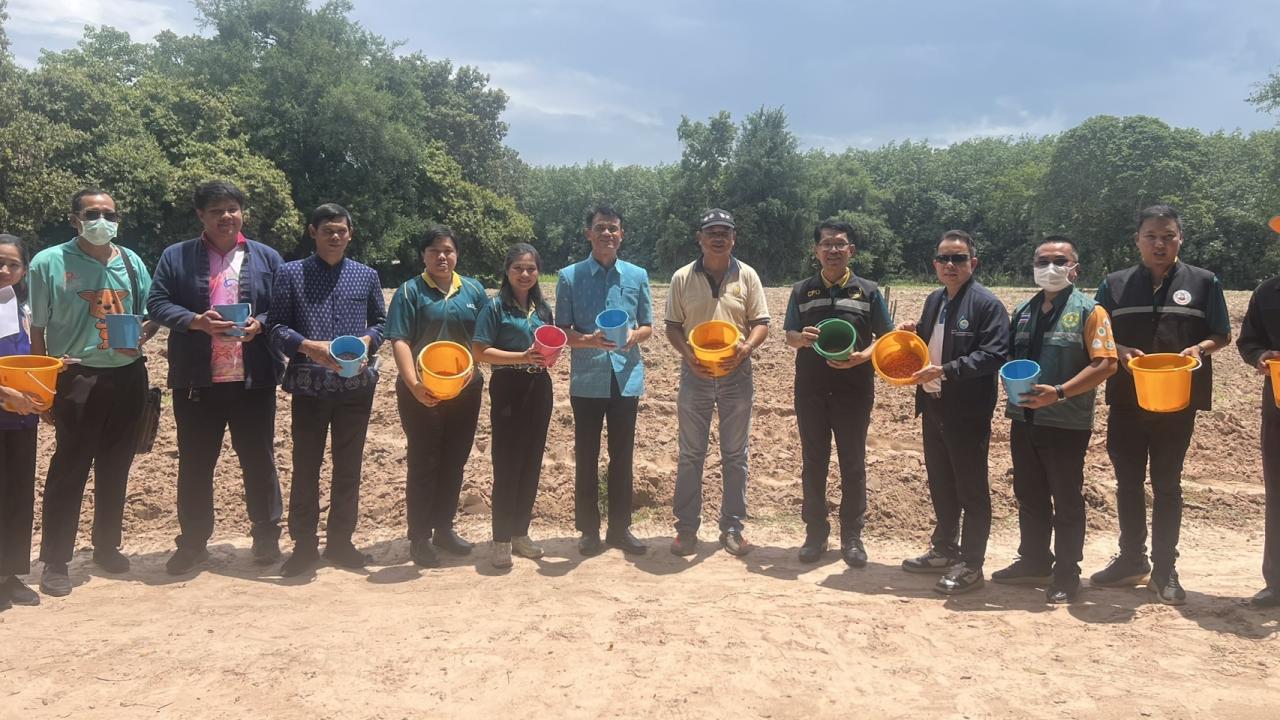 ภาพประกอบที่ 0