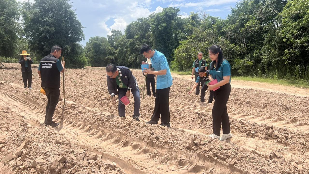 ภาพประกอบที่ 2