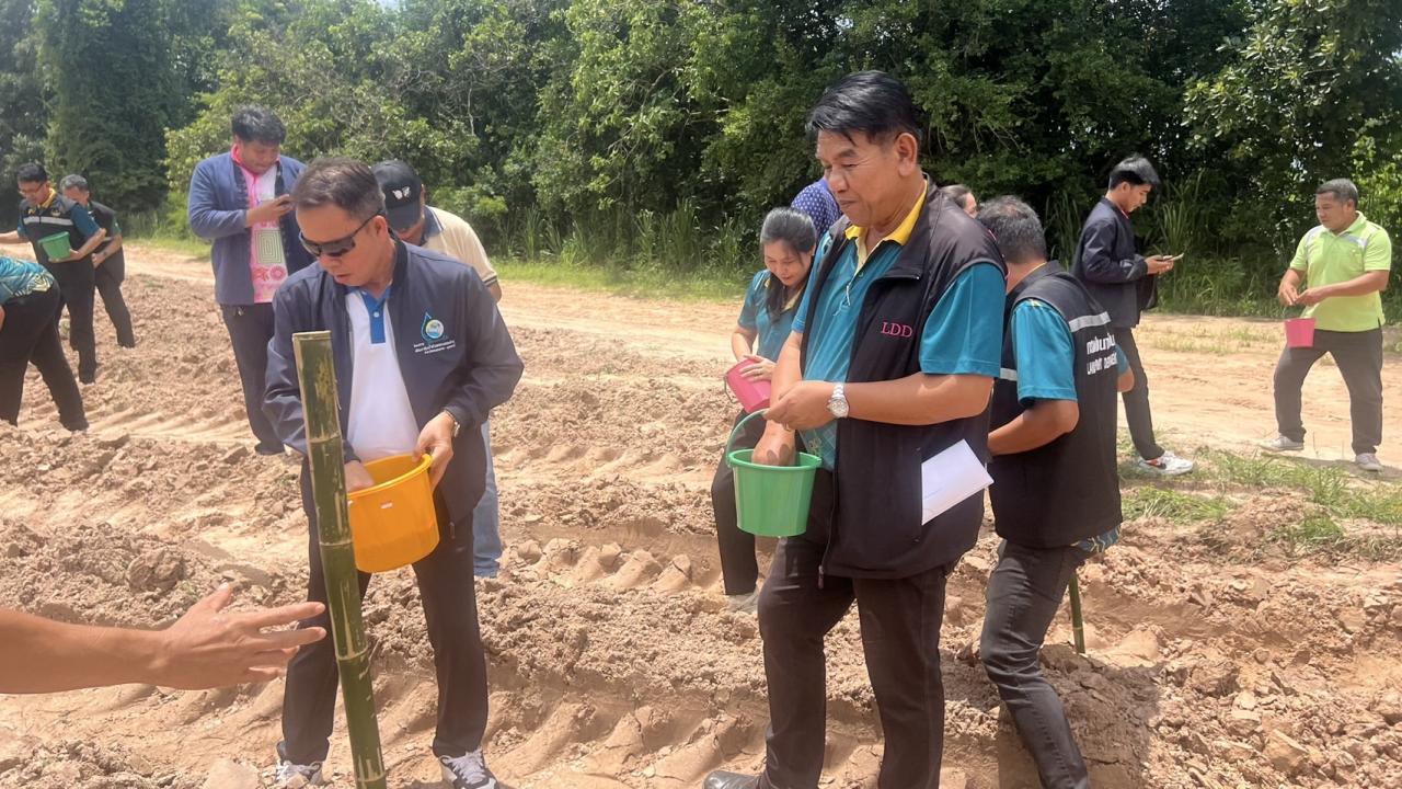 ภาพประกอบที่ 5