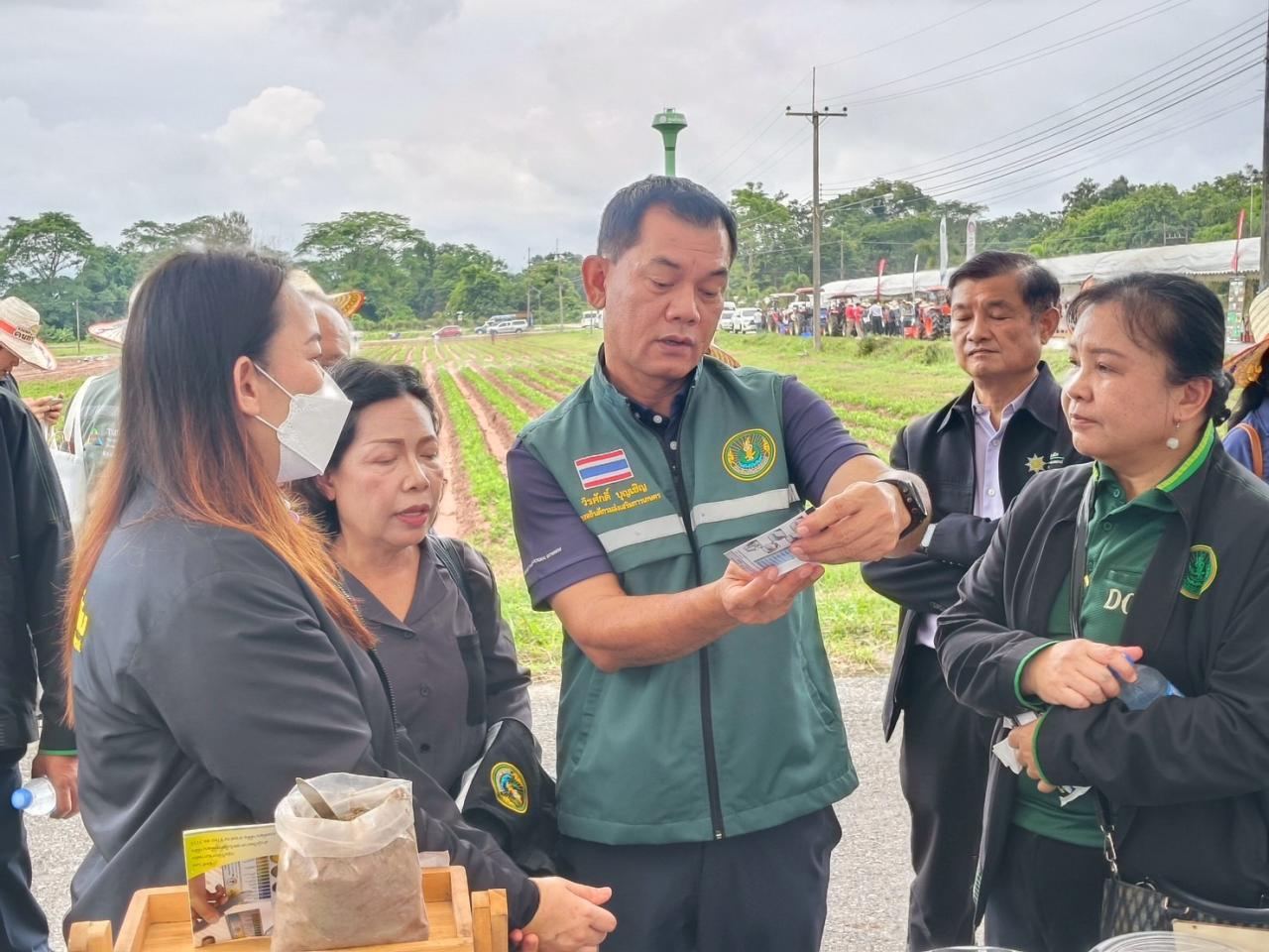 ภาพประกอบที่ 11