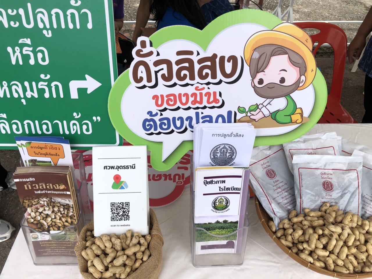 ภาพประกอบที่ 12