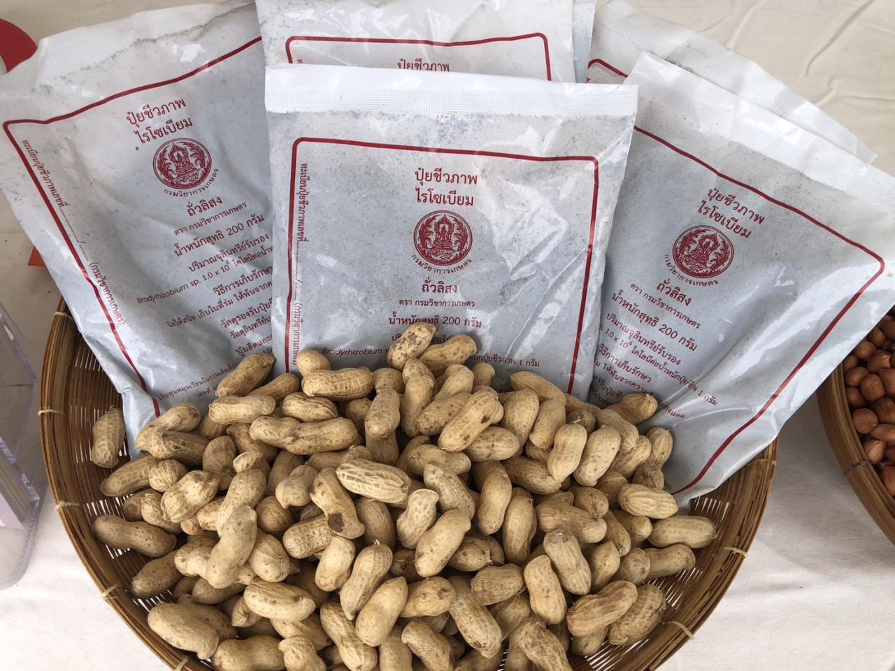 ภาพประกอบที่ 15