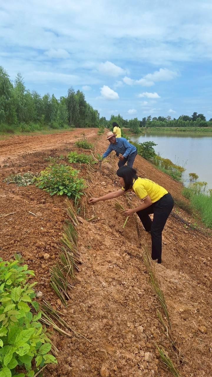ภาพประกอบที่ 8