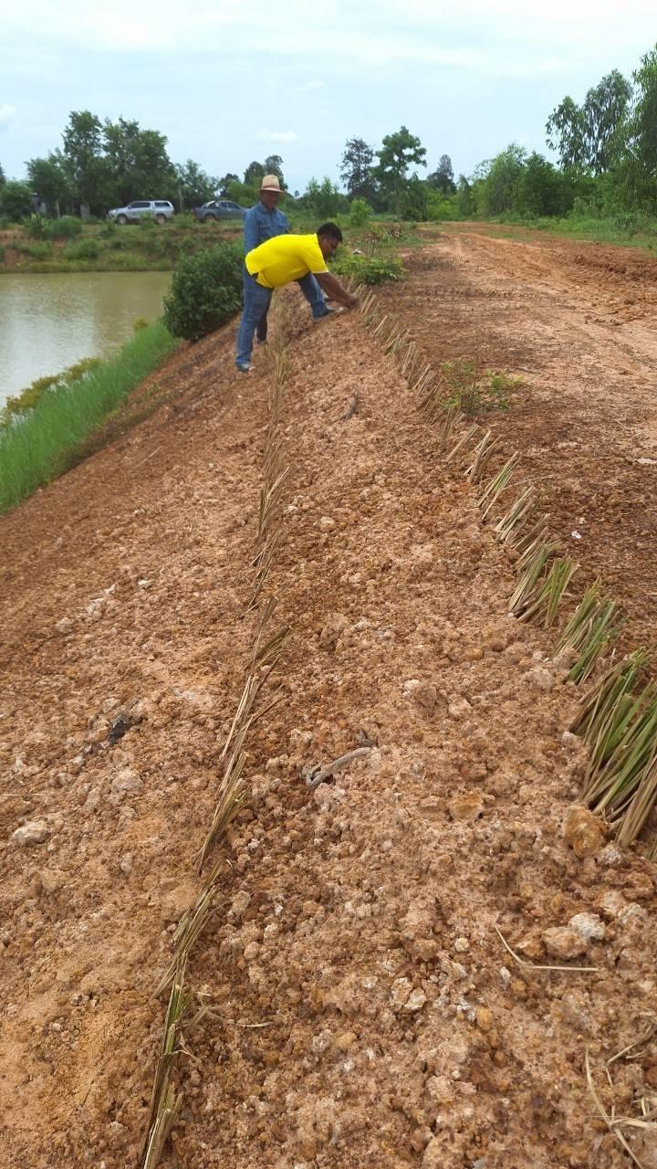 ภาพประกอบที่ 9