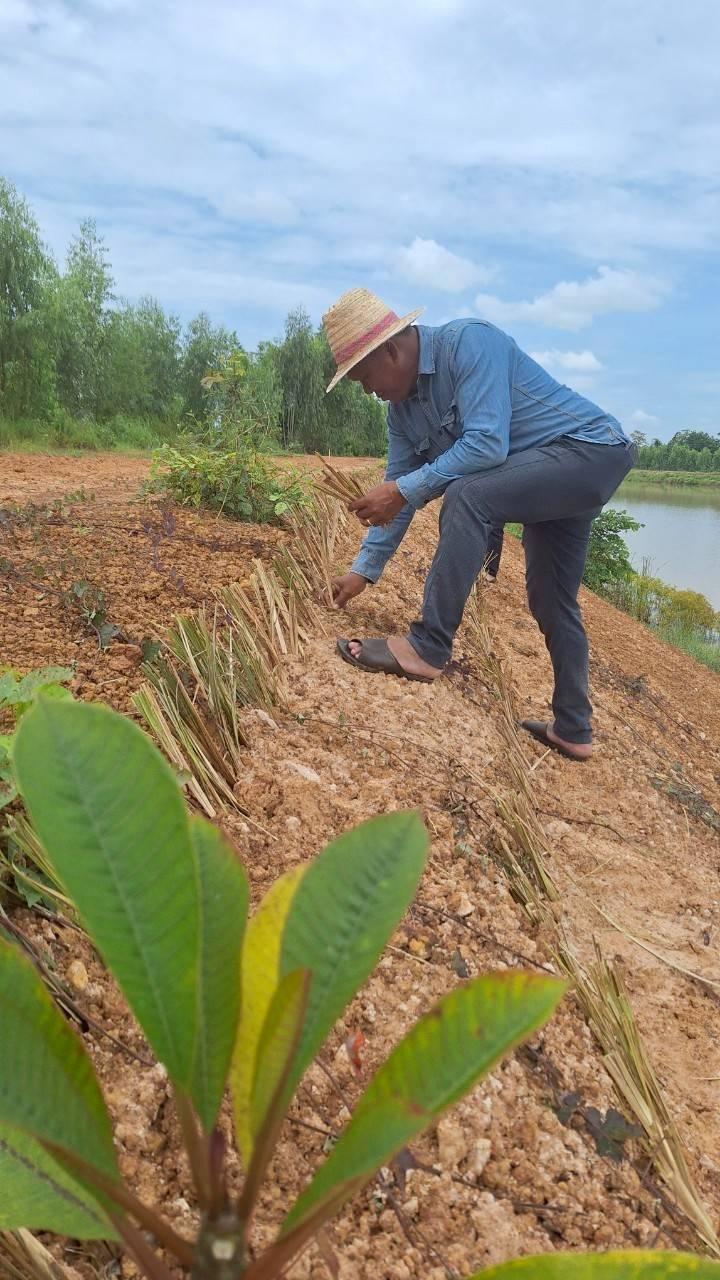 ภาพประกอบที่ 2