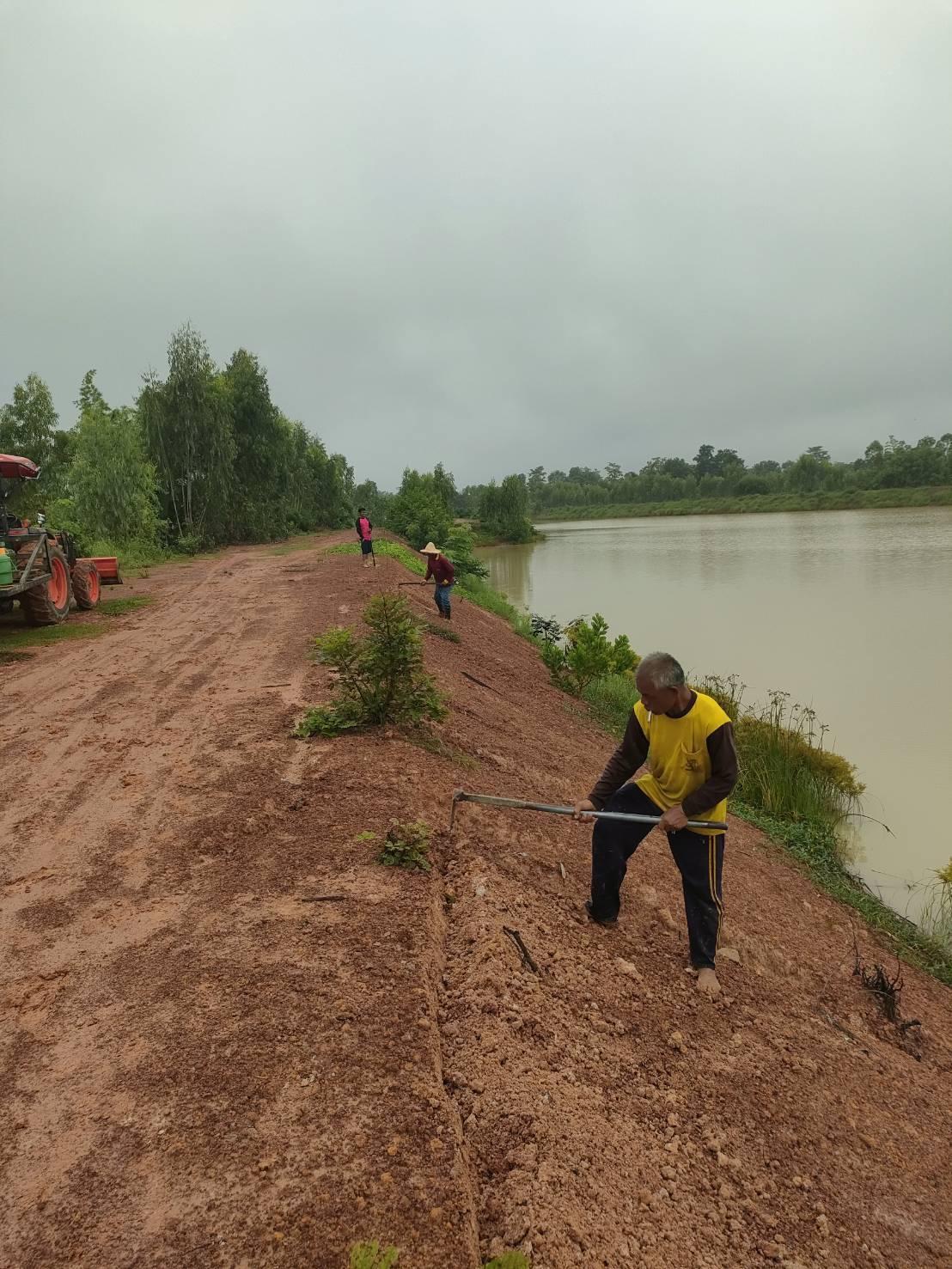 ภาพประกอบที่ 5