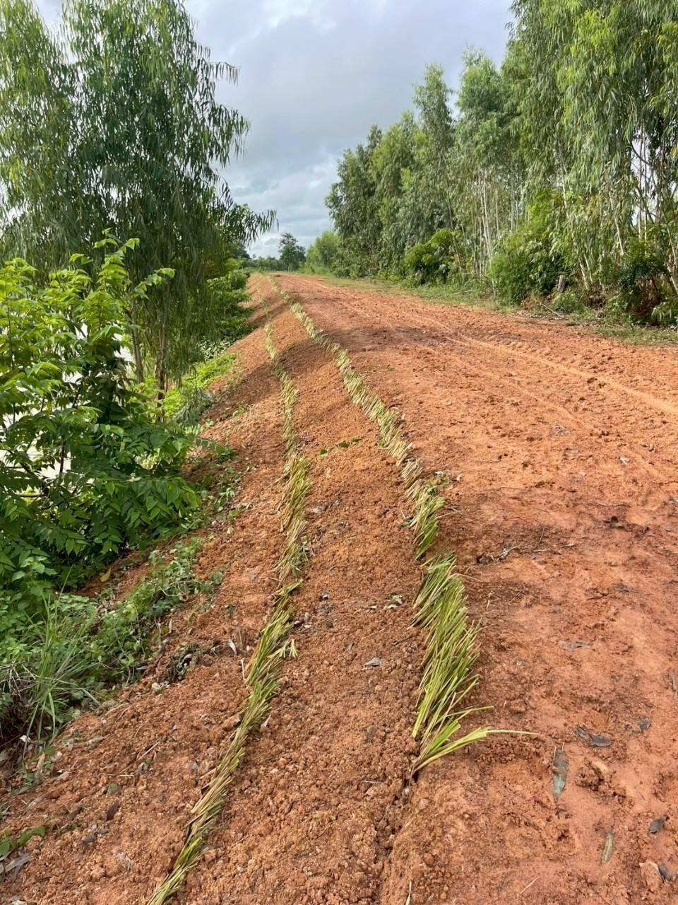 ภาพประกอบที่ 6