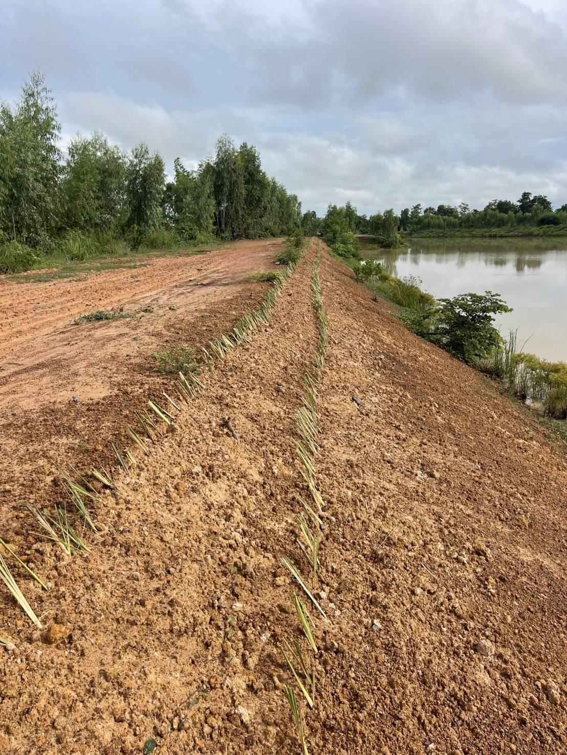 ภาพประกอบที่ 7