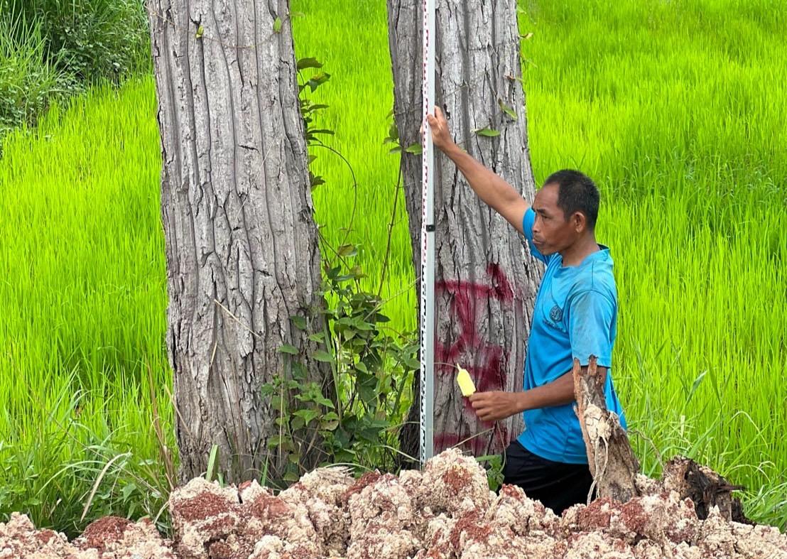 ภาพประกอบที่ 8