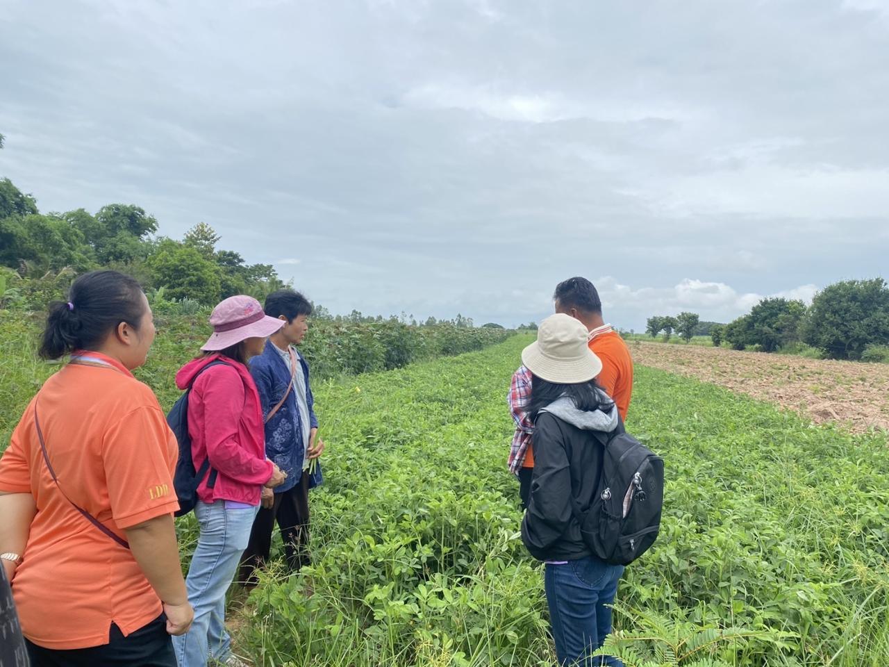 ภาพประกอบที่ 15