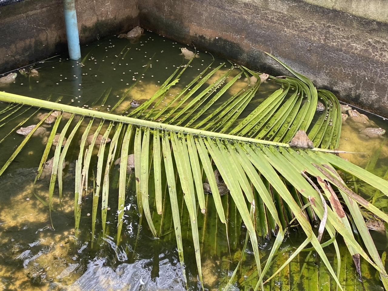 ภาพประกอบที่ 20