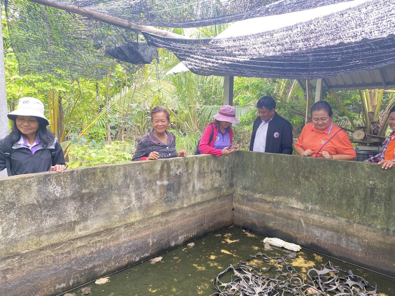 ภาพประกอบที่ 21