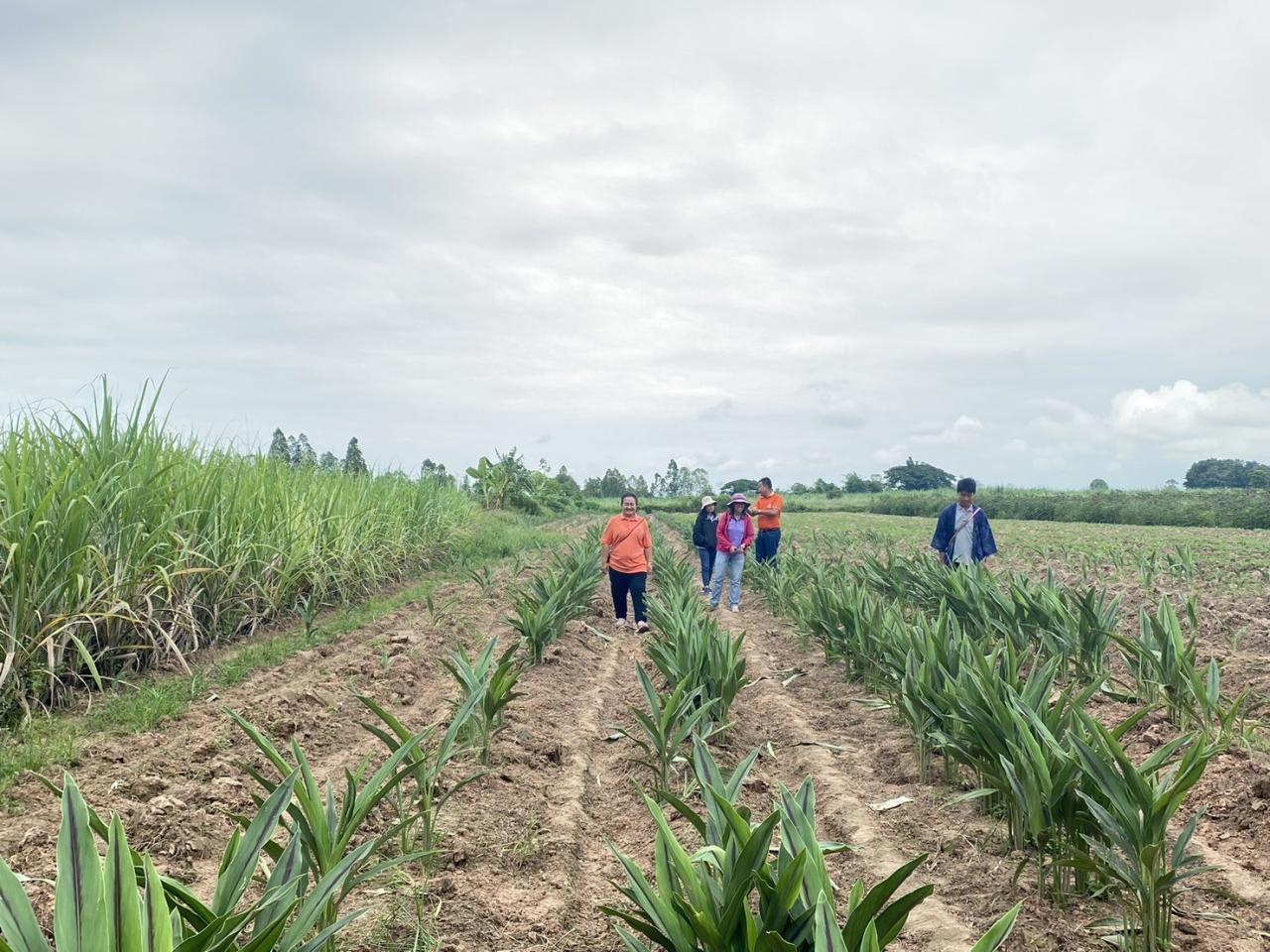 ภาพประกอบที่ 22