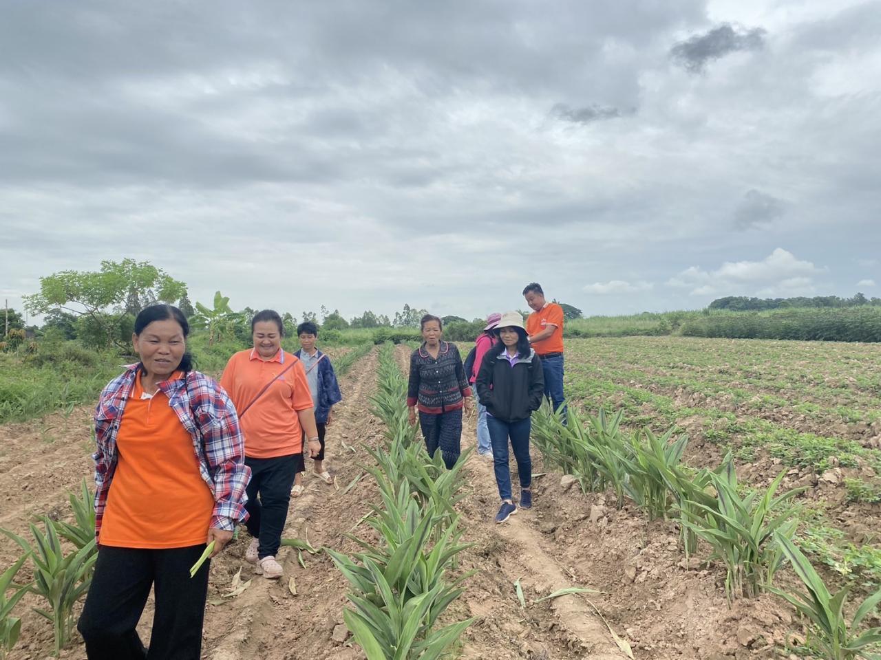 ภาพประกอบที่ 23