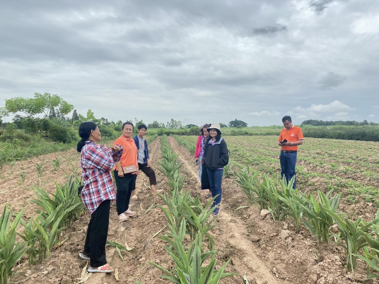 ภาพประกอบที่ 9